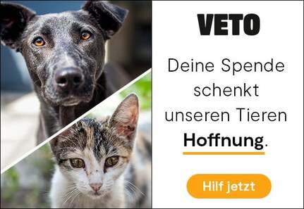 Veto Logo: Deine Spende schenkt unseren Tieren Hoffnung.