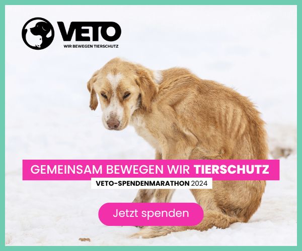 Veto Spendenmarathon